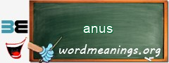 WordMeaning blackboard for anus